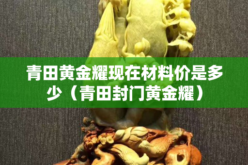 青田黃金耀現在材料價是多少（青田封門黃金耀）