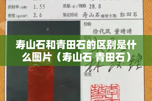 壽山石和青田石的區別是什么圖片（壽山石 青田石）