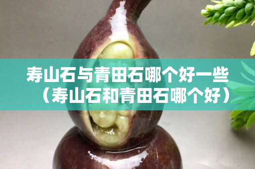 壽山石與青田石哪個好一些（壽山石和青田石哪個好）