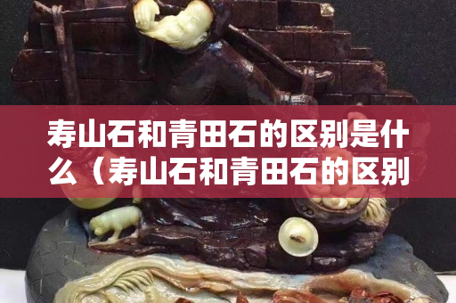 壽山石和青田石的區別是什么（壽山石和青田石的區別是什么意思）