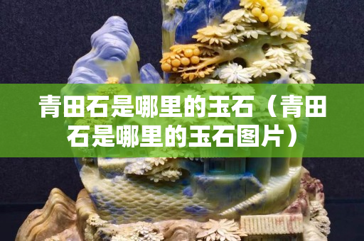 青田石是哪里的玉石（青田石是哪里的玉石圖片）