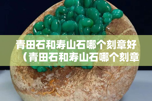 青田石和壽山石哪個刻章好（青田石和壽山石哪個刻章好一點）
