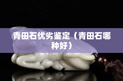 青田石優(yōu)劣鑒定（青田石哪種好）