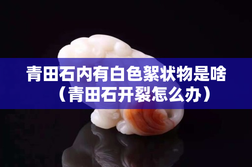 青田石內有白色絮狀物是啥（青田石開裂怎么辦）