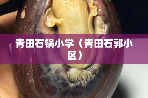 青田石鍋小學（青田石郭小區）