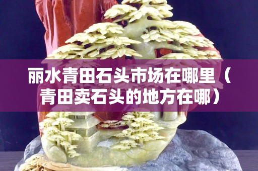 麗水青田石頭市場在哪里（青田賣石頭的地方在哪）