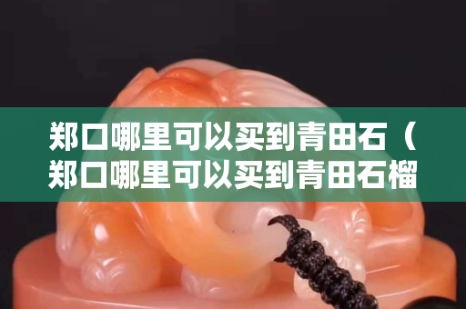 鄭口哪里可以買到青田石（鄭口哪里可以買到青田石榴樹苗）