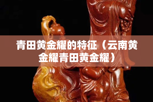 青田黃金耀的特征（云南黃金耀青田黃金耀）