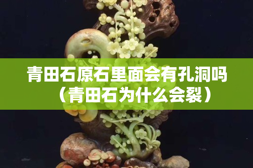 青田石原石里面會(huì)有孔洞嗎（青田石為什么會(huì)裂）