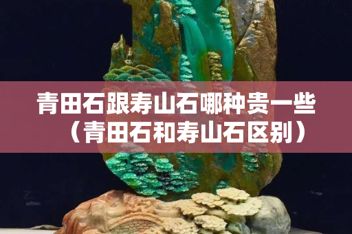 青田石跟壽山石哪種貴一些（青田石和壽山石區別）