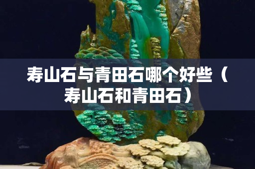 壽山石與青田石哪個好些（壽山石和青田石）