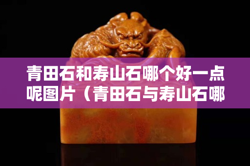 青田石和壽山石哪個好一點呢圖片（青田石與壽山石哪個好）