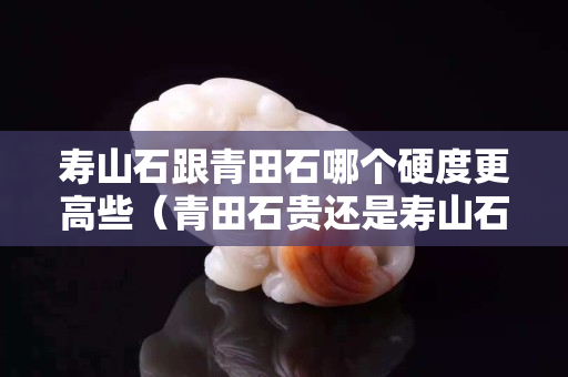壽山石跟青田石哪個硬度更高些（青田石貴還是壽山石貴）