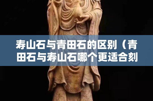 壽山石與青田石的區別（青田石與壽山石哪個更適合刻印章）