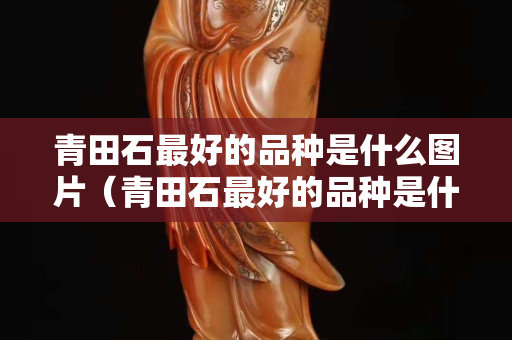 青田石最好的品種是什么圖片（青田石最好的品種是什么圖片和價格）