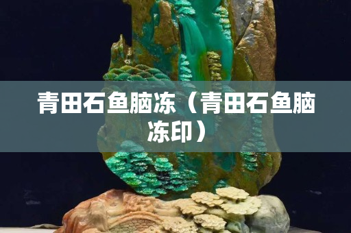 青田石魚腦凍（青田石魚腦凍印）