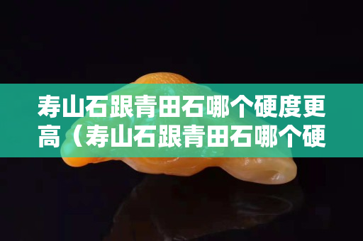 壽山石跟青田石哪個(gè)硬度更高（壽山石跟青田石哪個(gè)硬度更高些）