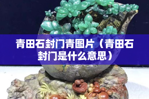 青田石封門青圖片（青田石封門是什么意思）