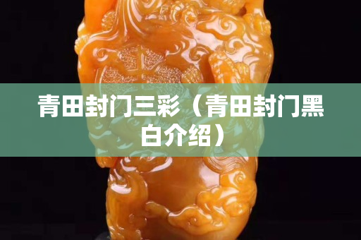 青田封門三彩（青田封門黑白介紹）