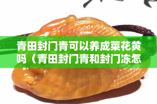 青田封門青可以養成菜花黃嗎（青田封門青和封門凍怎么區分）