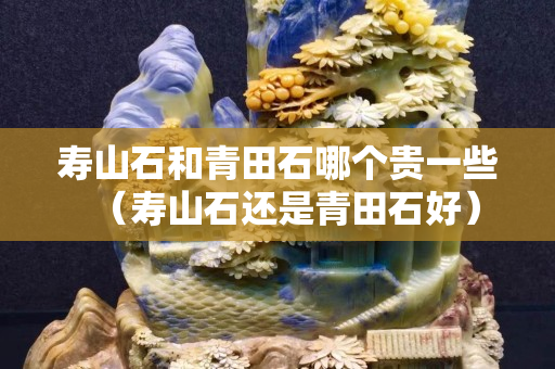 壽山石和青田石哪個貴一些（壽山石還是青田石好）