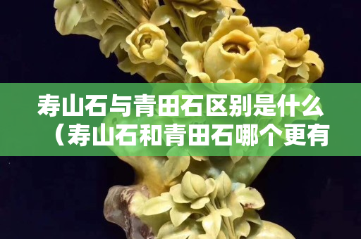 壽山石與青田石區(qū)別是什么（壽山石和青田石哪個(gè)更有收藏價(jià)值）