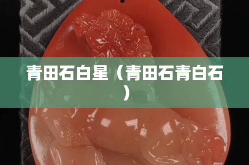 青田石白星（青田石青白石）