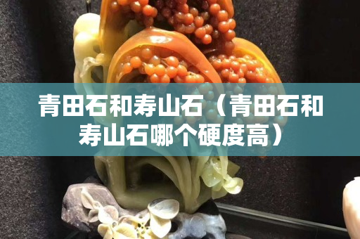 青田石和壽山石（青田石和壽山石哪個硬度高）