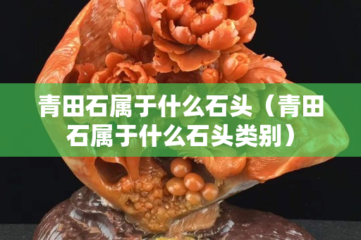 青田石屬于什么石頭（青田石屬于什么石頭類別）