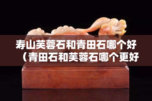 壽山芙蓉石和青田石哪個好（青田石和芙蓉石哪個更好）