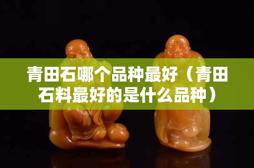 青田石哪個品種最好（青田石料最好的是什么品種）