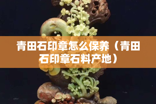 青田石印章怎么保養（青田石印章石料產地）
