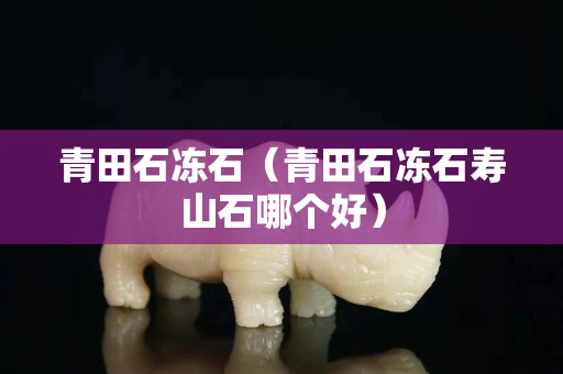 青田石凍石（青田石凍石壽山石哪個好）