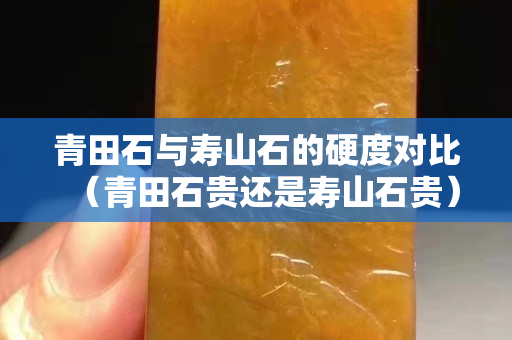 青田石與壽山石的硬度對比（青田石貴還是壽山石貴）