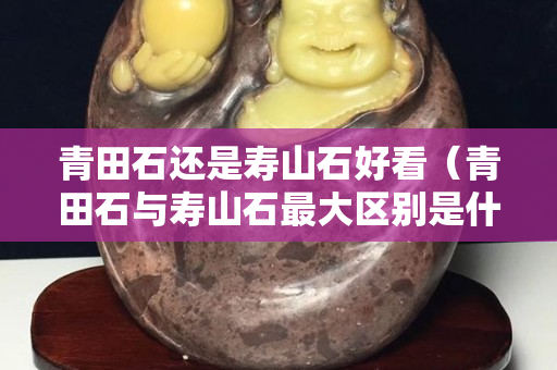 青田石還是壽山石好看（青田石與壽山石最大區別是什么）
