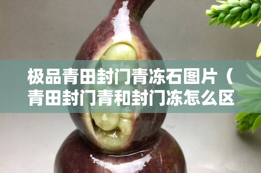 極品青田封門青凍石圖片（青田封門青和封門凍怎么區(qū)分）