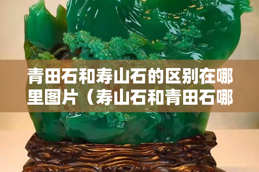 青田石和壽山石的區(qū)別在哪里圖片（壽山石和青田石哪個(gè)更有收藏價(jià)值）