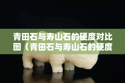 青田石與壽山石的硬度對比圖（青田石與壽山石的硬度對比圖表）