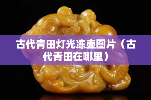 古代青田燈光凍壺圖片（古代青田在哪里）