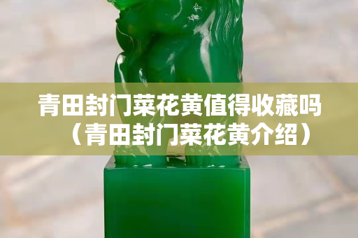 青田封門(mén)菜花黃值得收藏嗎（青田封門(mén)菜花黃介紹）