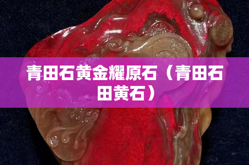 青田石黃金耀原石（青田石田黃石）