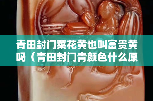 青田封門菜花黃也叫富貴黃嗎（青田封門青顏色什么原因）