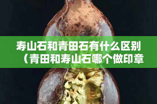 壽山石和青田石有什么區(qū)別（青田和壽山石哪個做印章好）