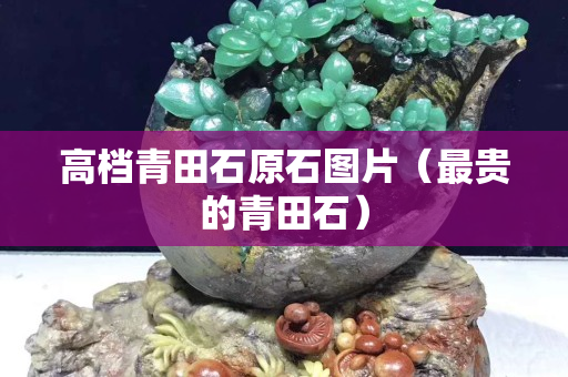高檔青田石原石圖片（最貴的青田石）