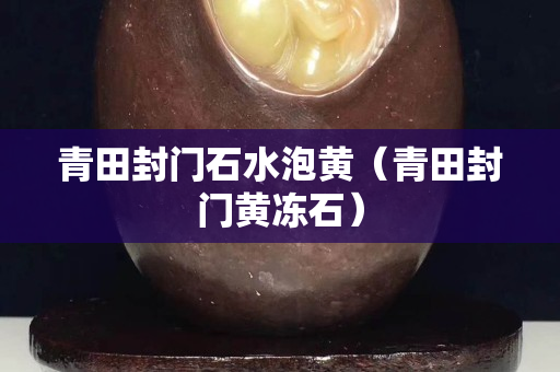 青田封門石水泡黃（青田封門黃凍石）