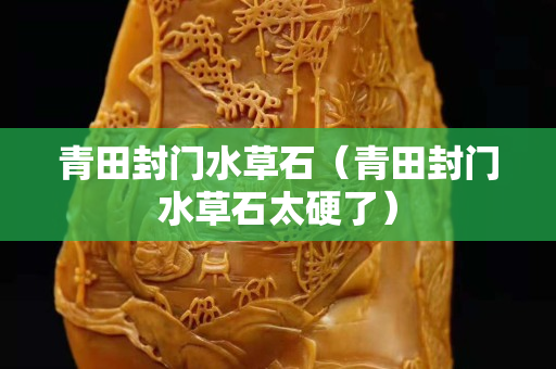 青田封門水草石（青田封門水草石太硬了）