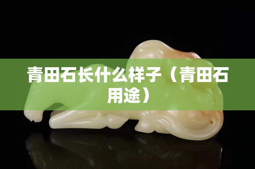 青田石長什么樣子（青田石用途）
