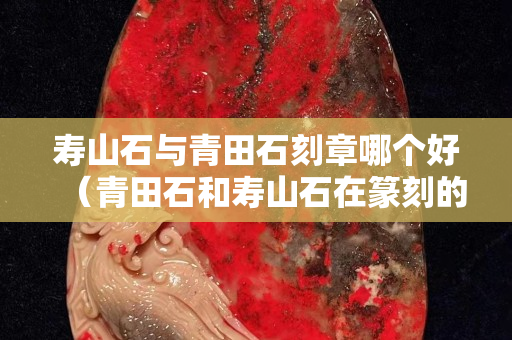 壽山石與青田石刻章哪個好（青田石和壽山石在篆刻的區別）