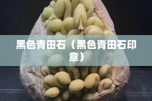 黑色青田石（黑色青田石印章）