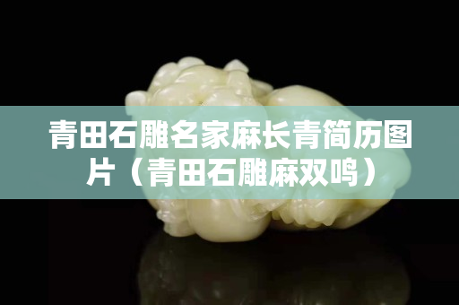 青田石雕名家麻長青簡歷圖片（青田石雕麻雙鳴）
